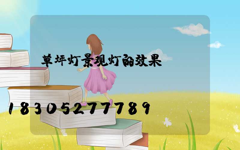 草坪灯景观灯的效果