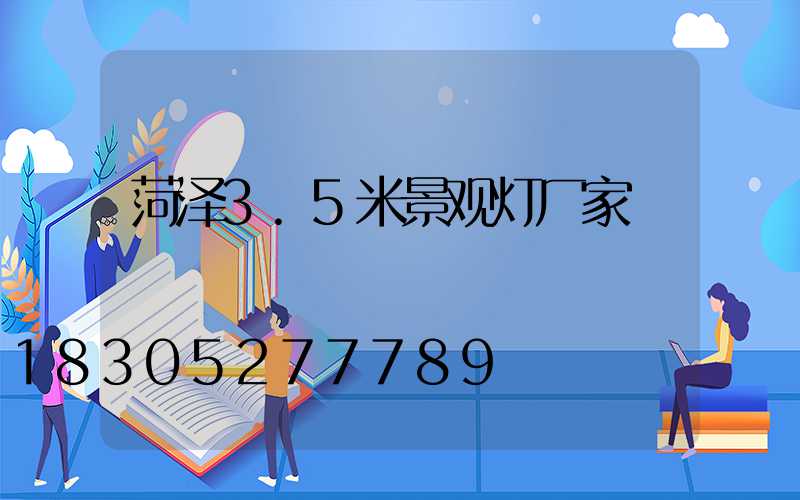 菏泽3.5米景观灯厂家