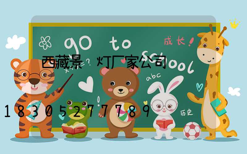 西藏景观灯厂家公司