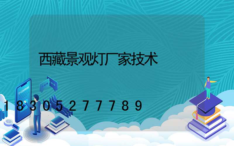 西藏景观灯厂家技术