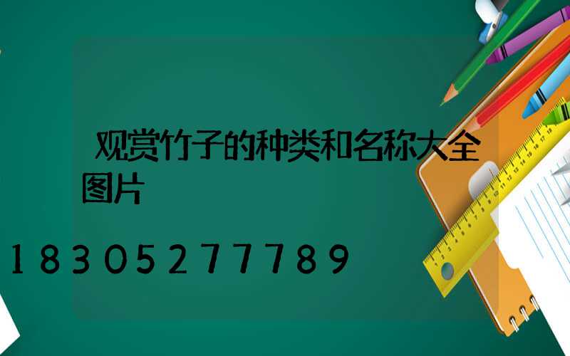 观赏竹子的种类和名称大全图片
