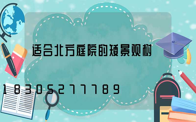 适合北方庭院的矮景观树