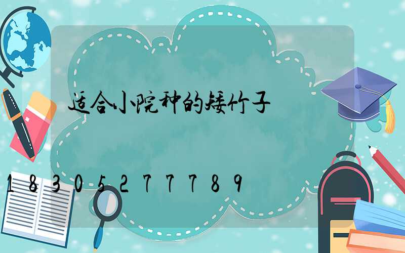 适合小院种的矮竹子