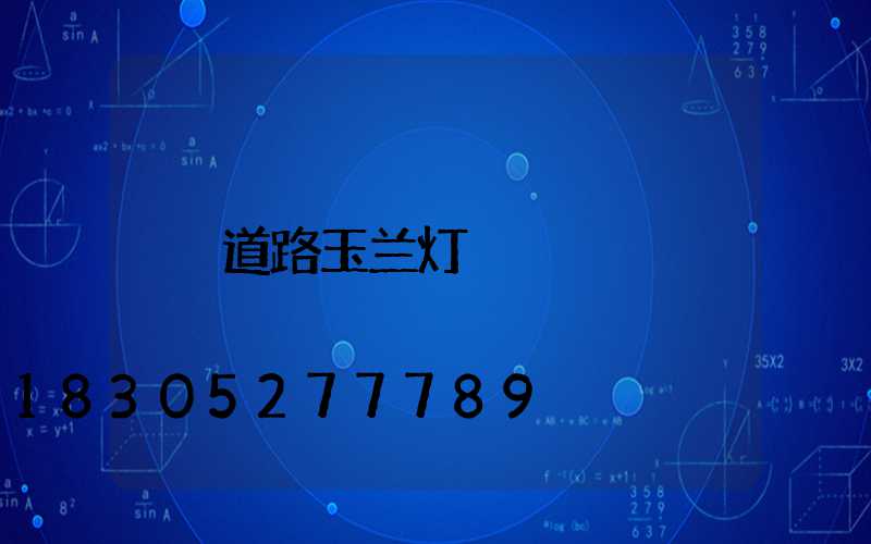道路玉兰灯