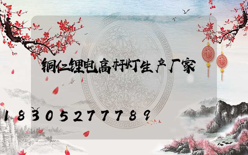 铜仁锂电高杆灯生产厂家