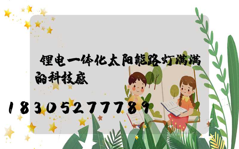 锂电一体化太阳能路灯满满的科技感