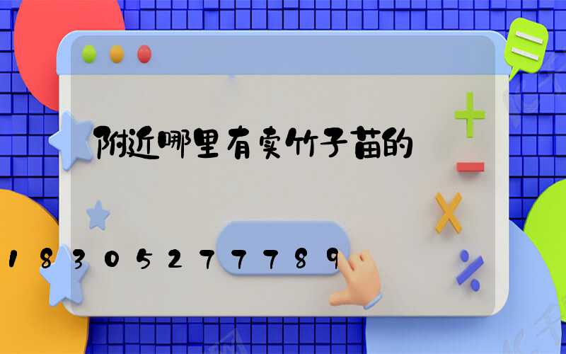 附近哪里有卖竹子苗的