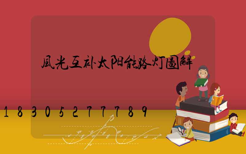风光互补太阳能路灯图解