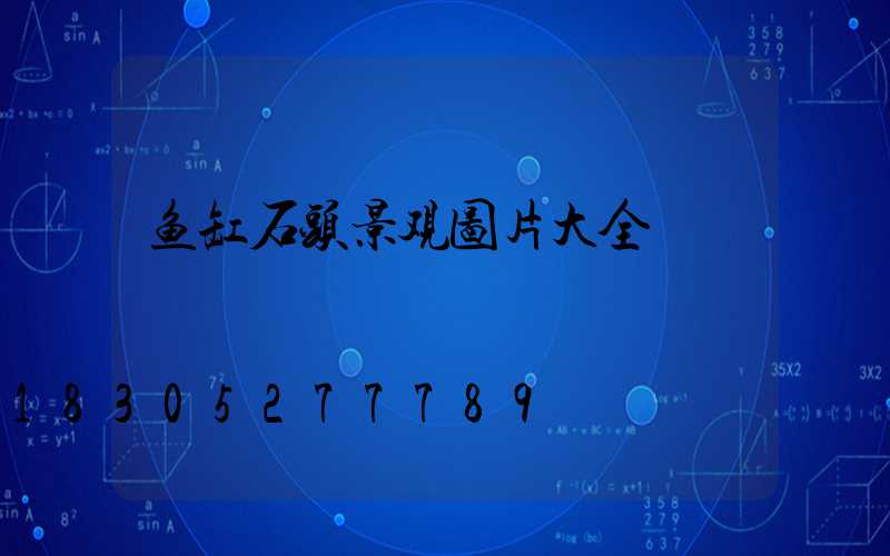 鱼缸石头景观图片大全
